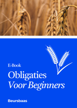 Afbeelding in Gallery-weergave laden, E-Book Obligaties voor Beginners
